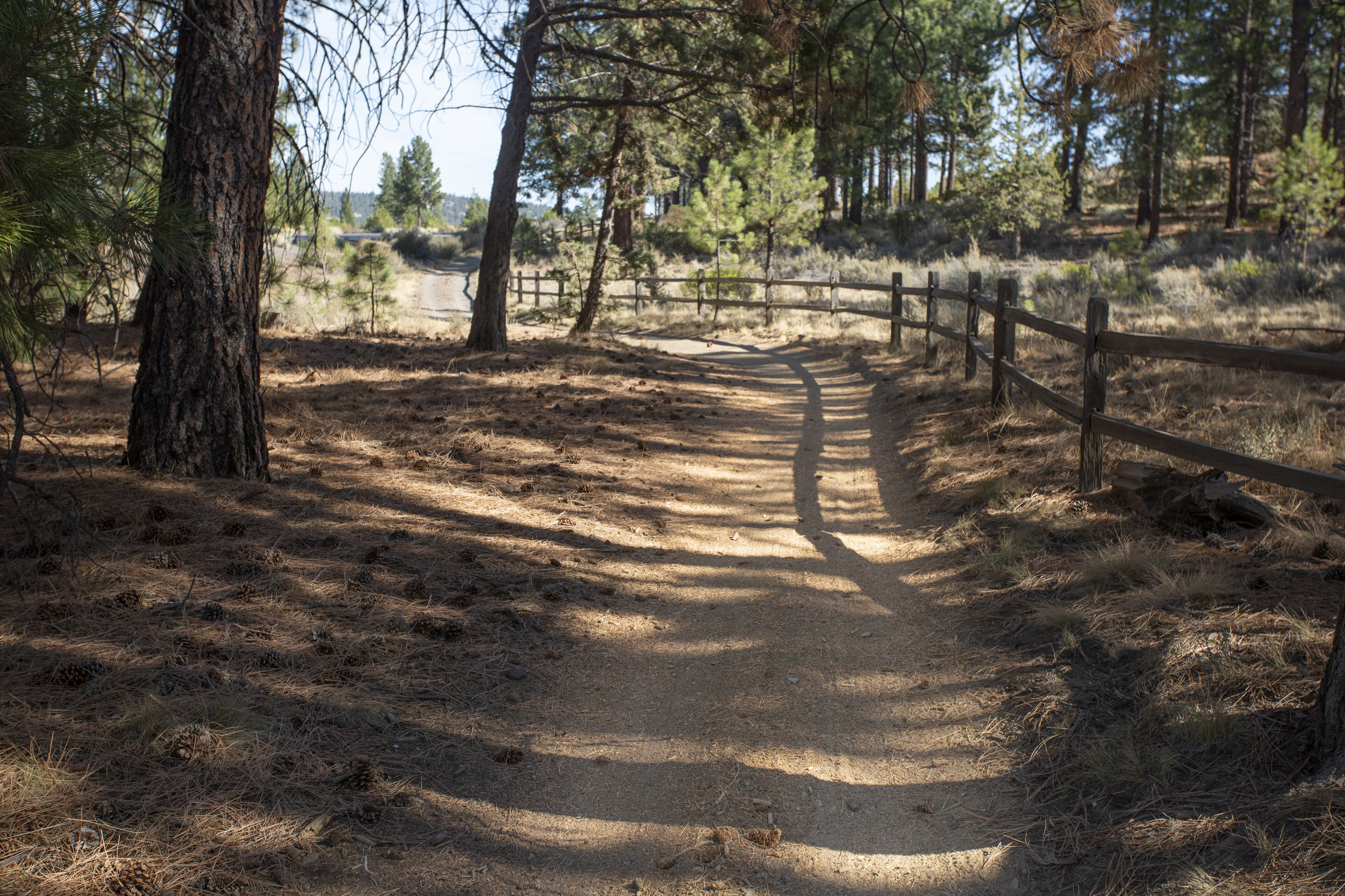 A soft surface portion of the West Bend trail