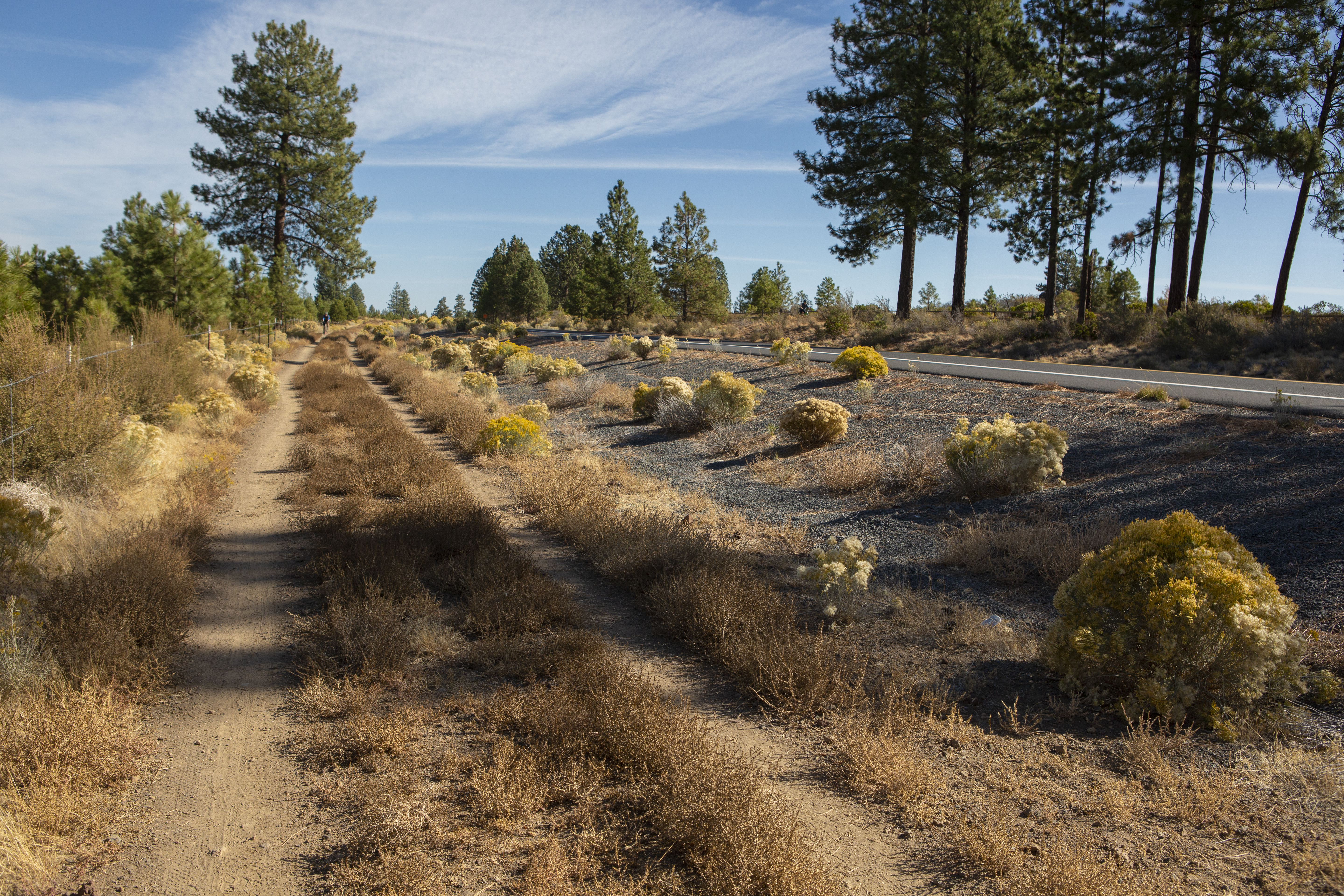 A soft surface portion of the West Bend trail