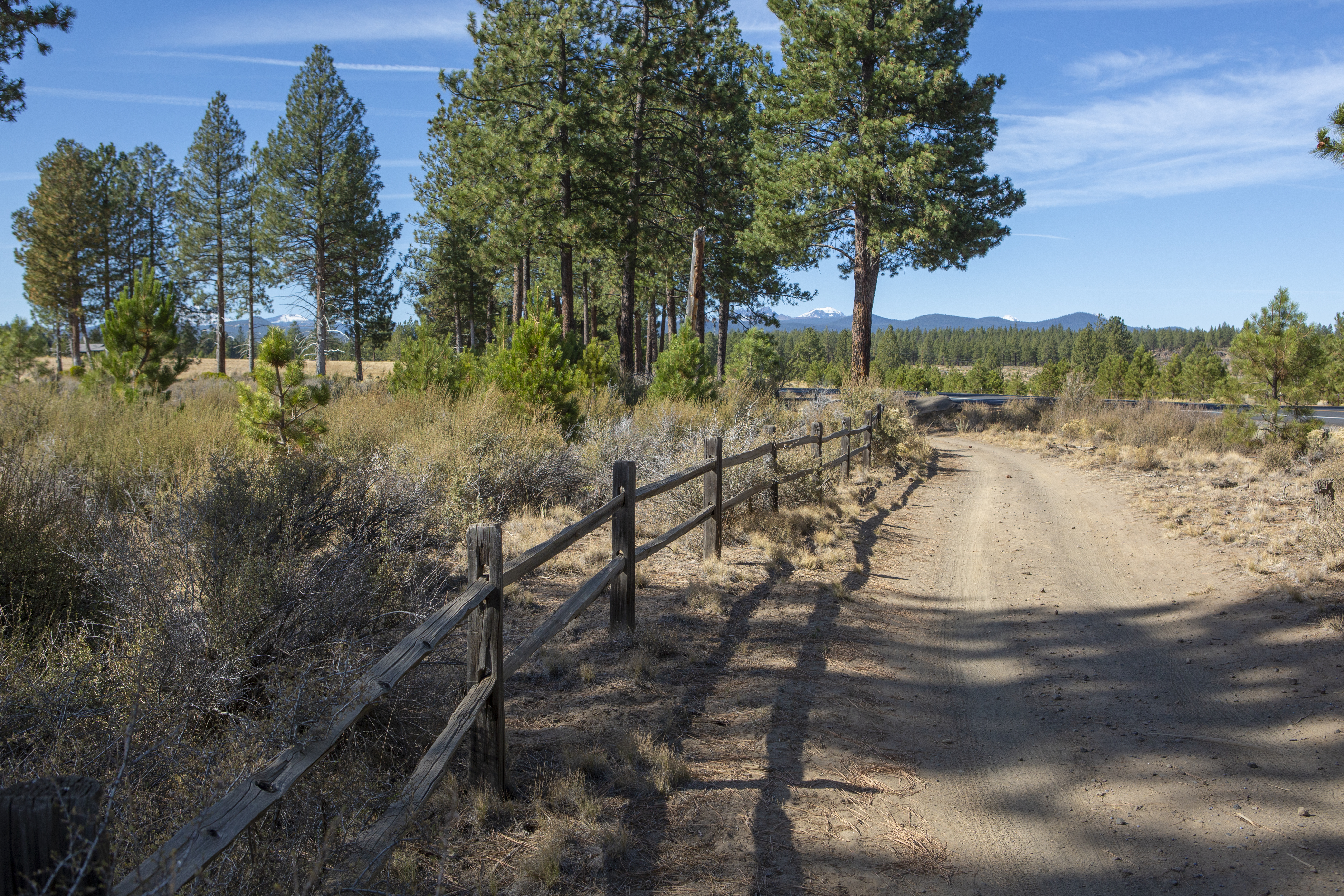 A soft surface portion of the West Bend trail with mountain views