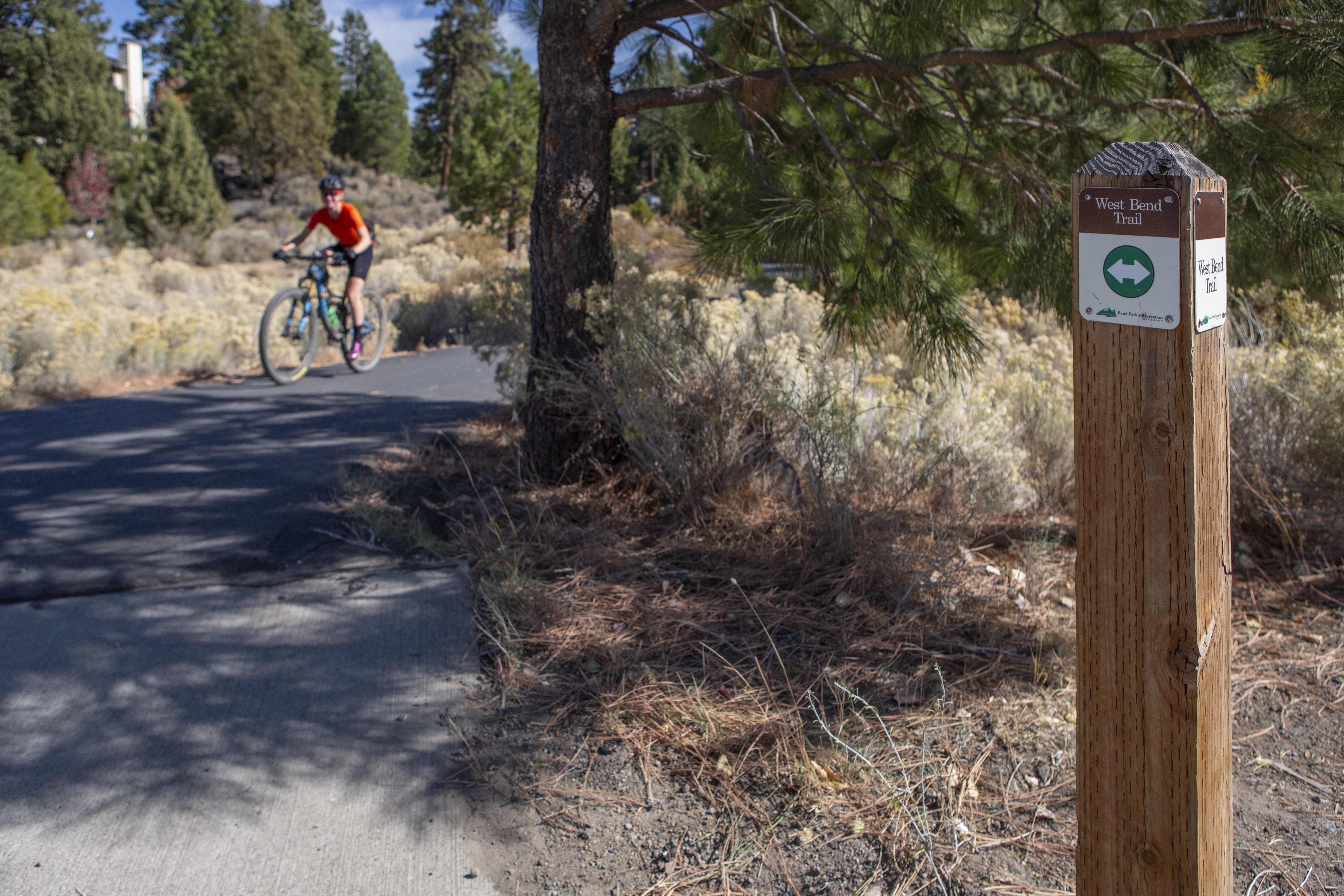 A biker rides by a wayfinding trail bollard