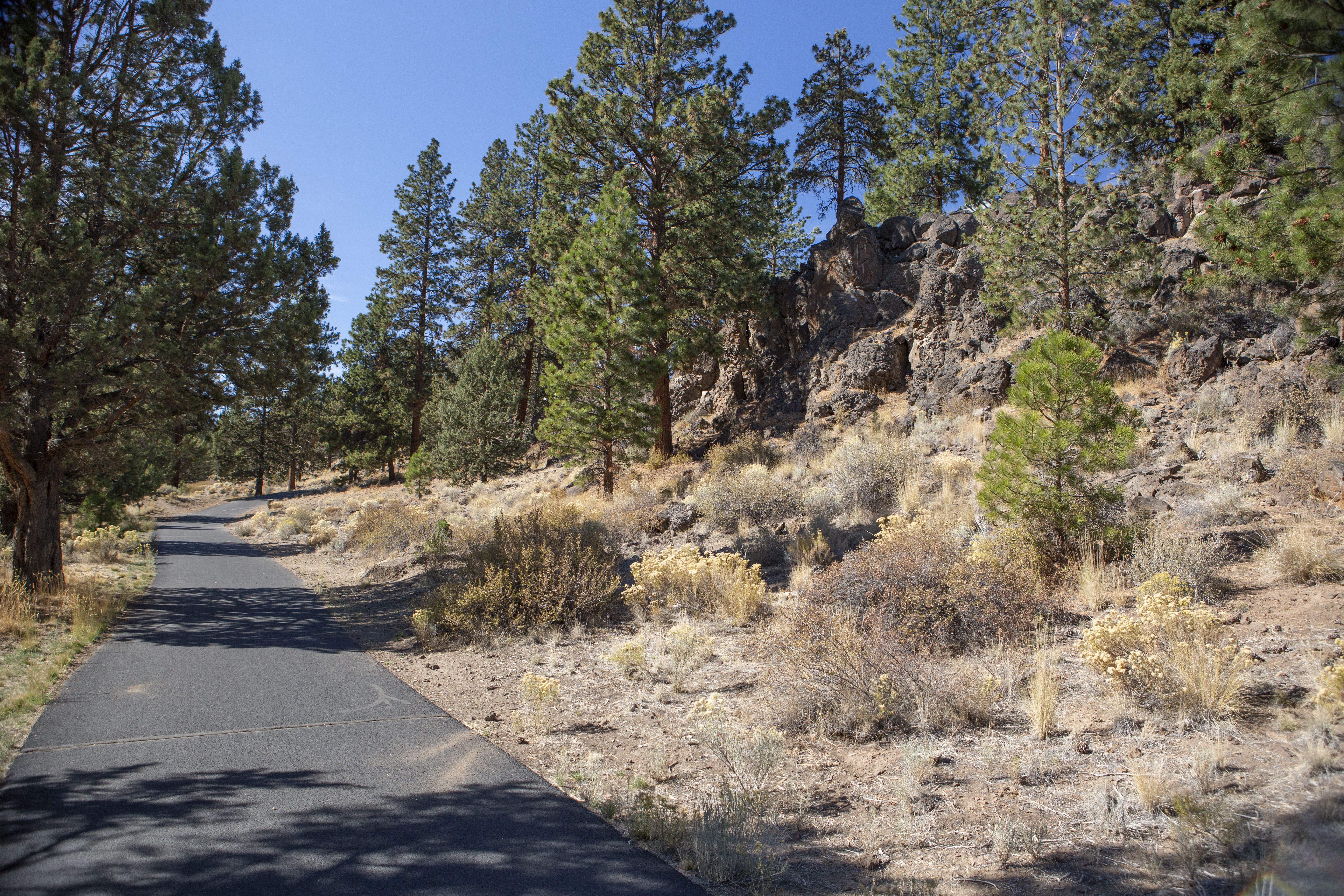 A paved portion of the West Bend trail