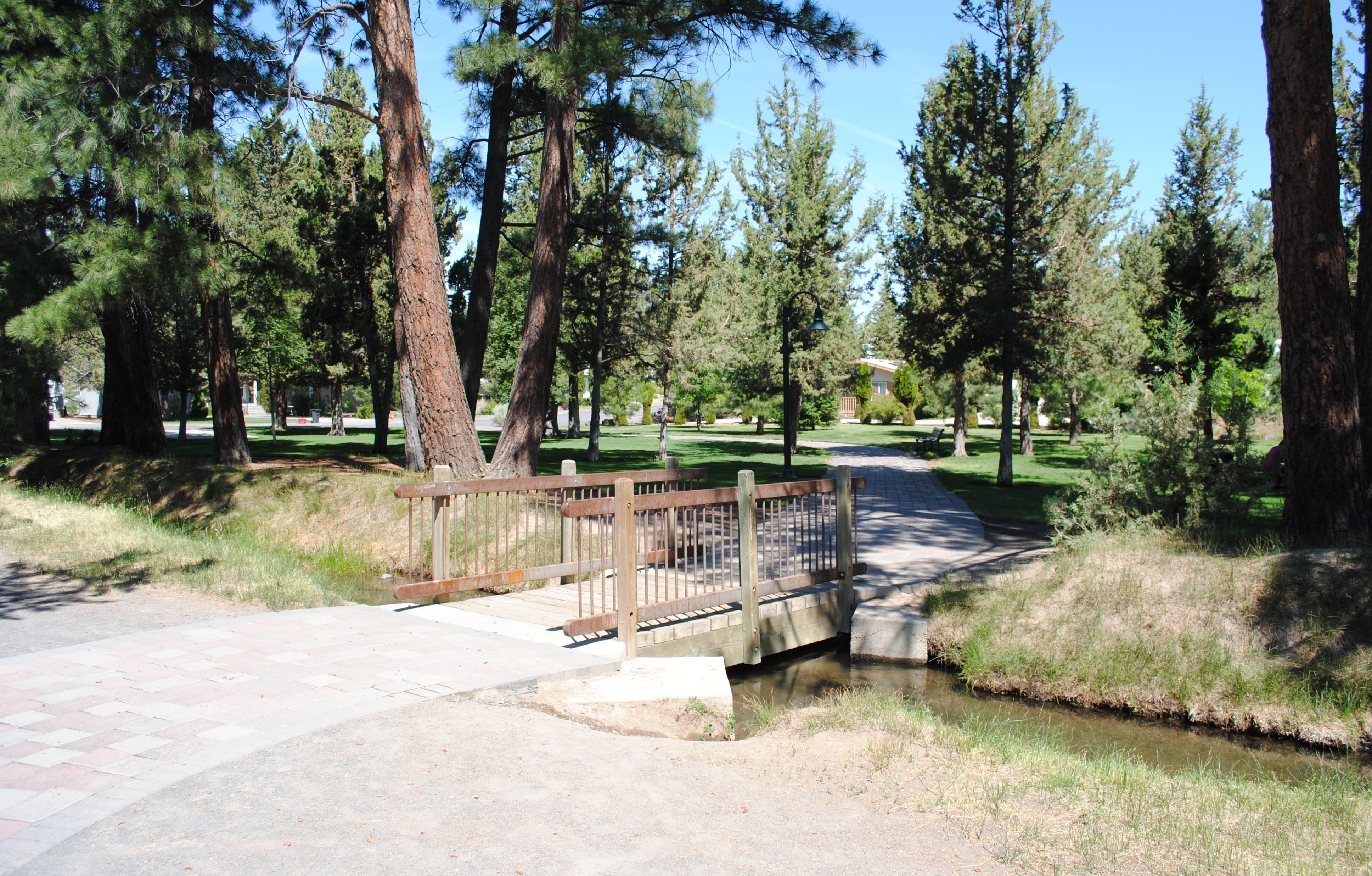 The footbridge on the Larkspur Trail