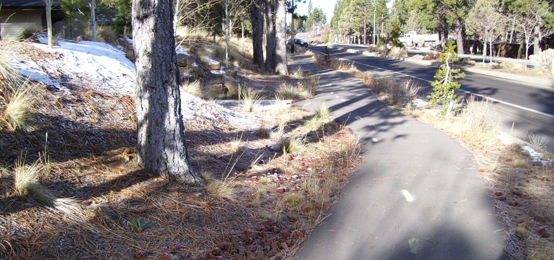 The discovery trail at three pines.
