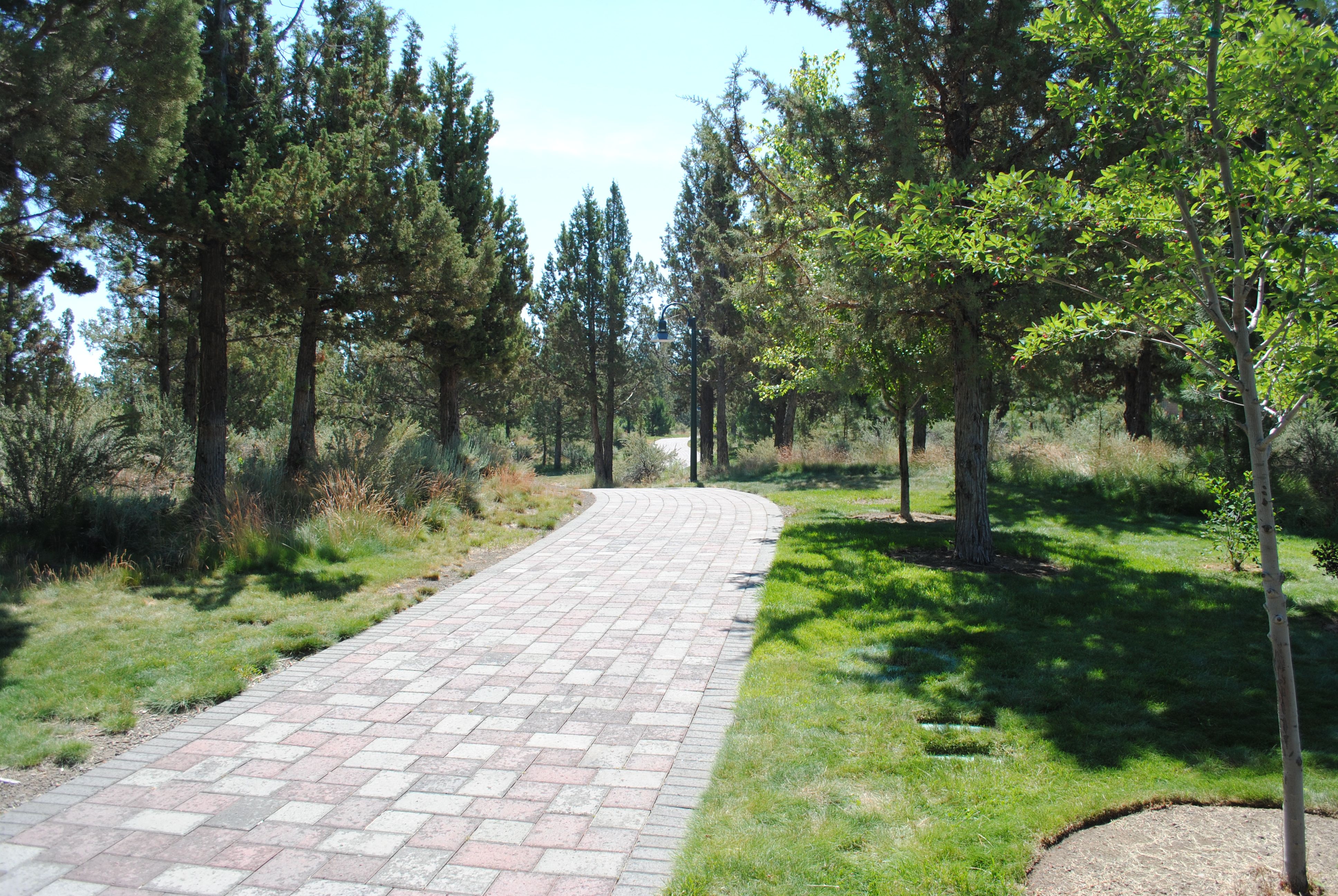 a paver path along the larkspur trail