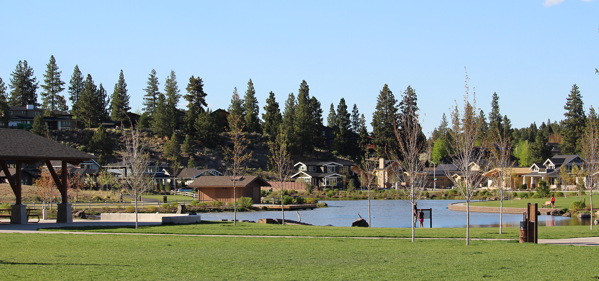 Discovery Park's pond.