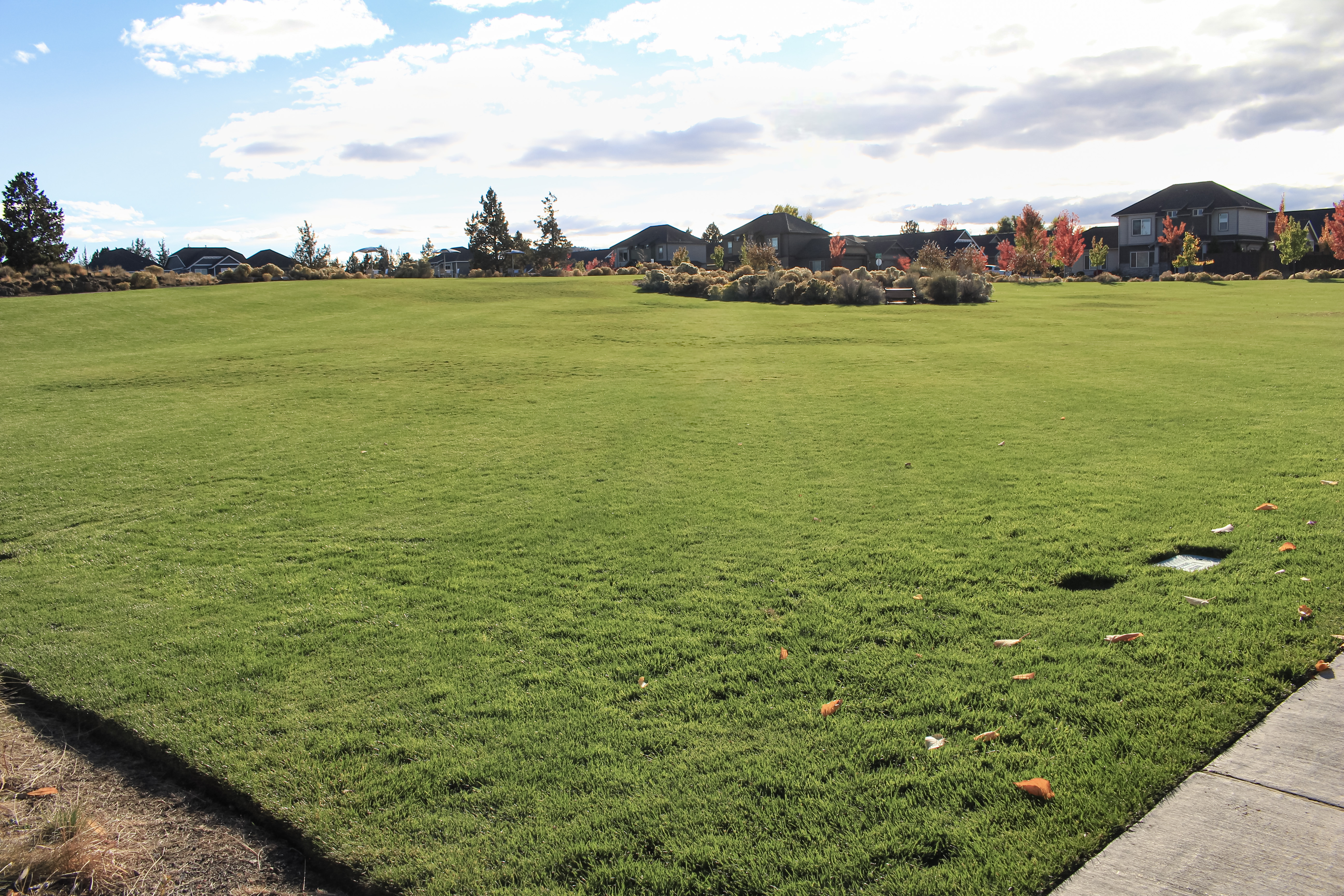 Large grass field at Eagle Park