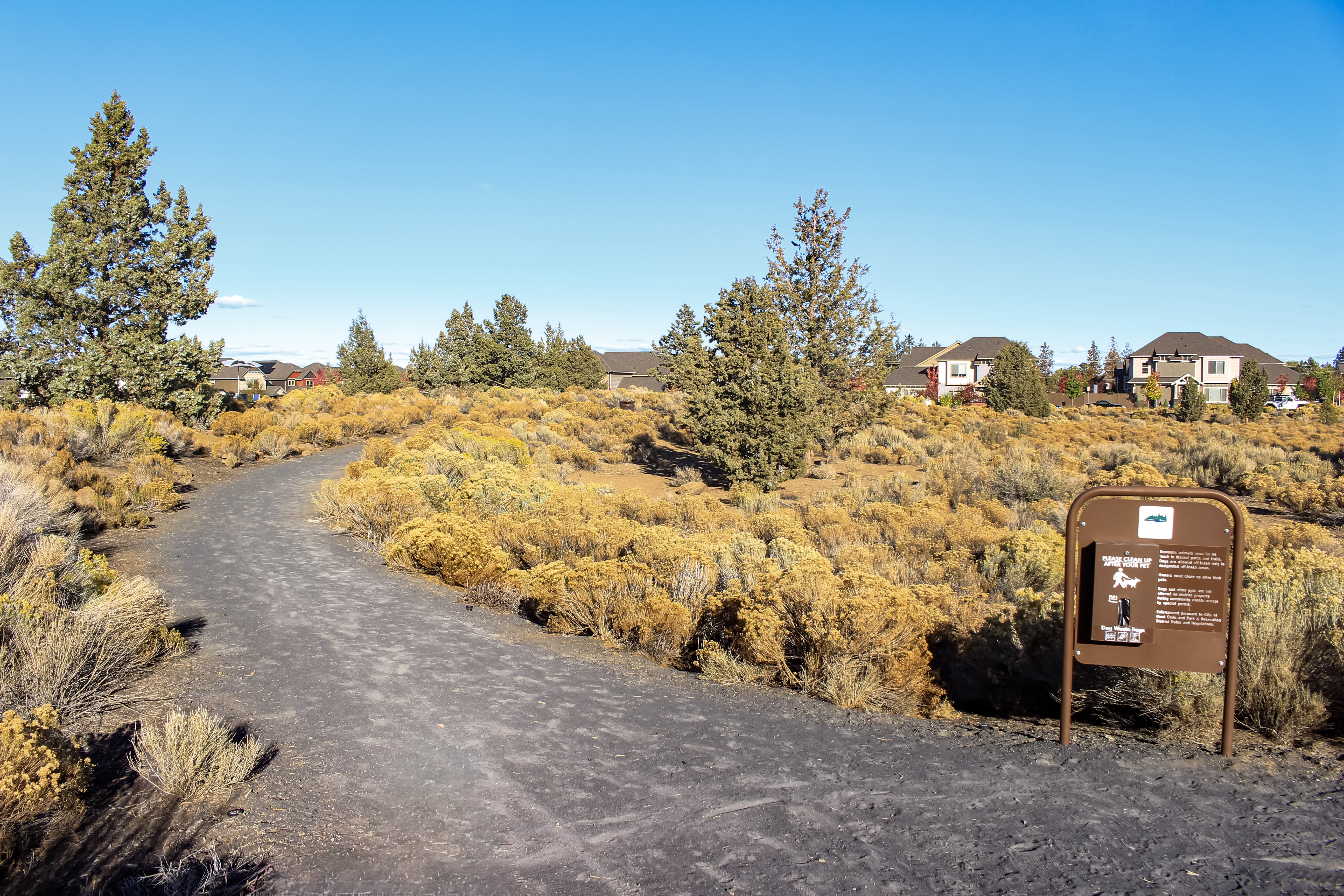 Pathway along natural landscape at Eagle Park