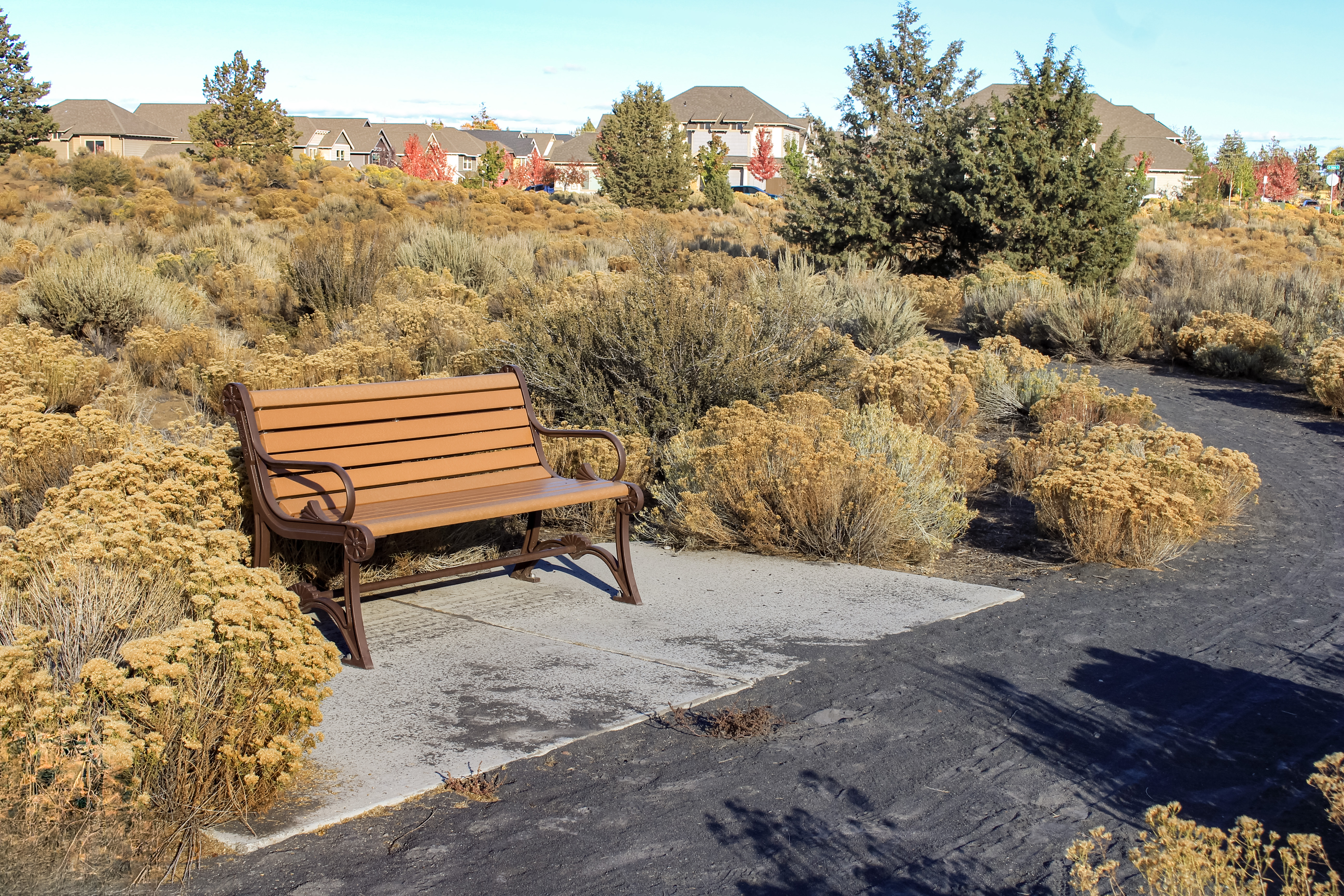 Bench and gravel pathway at Eagle Park