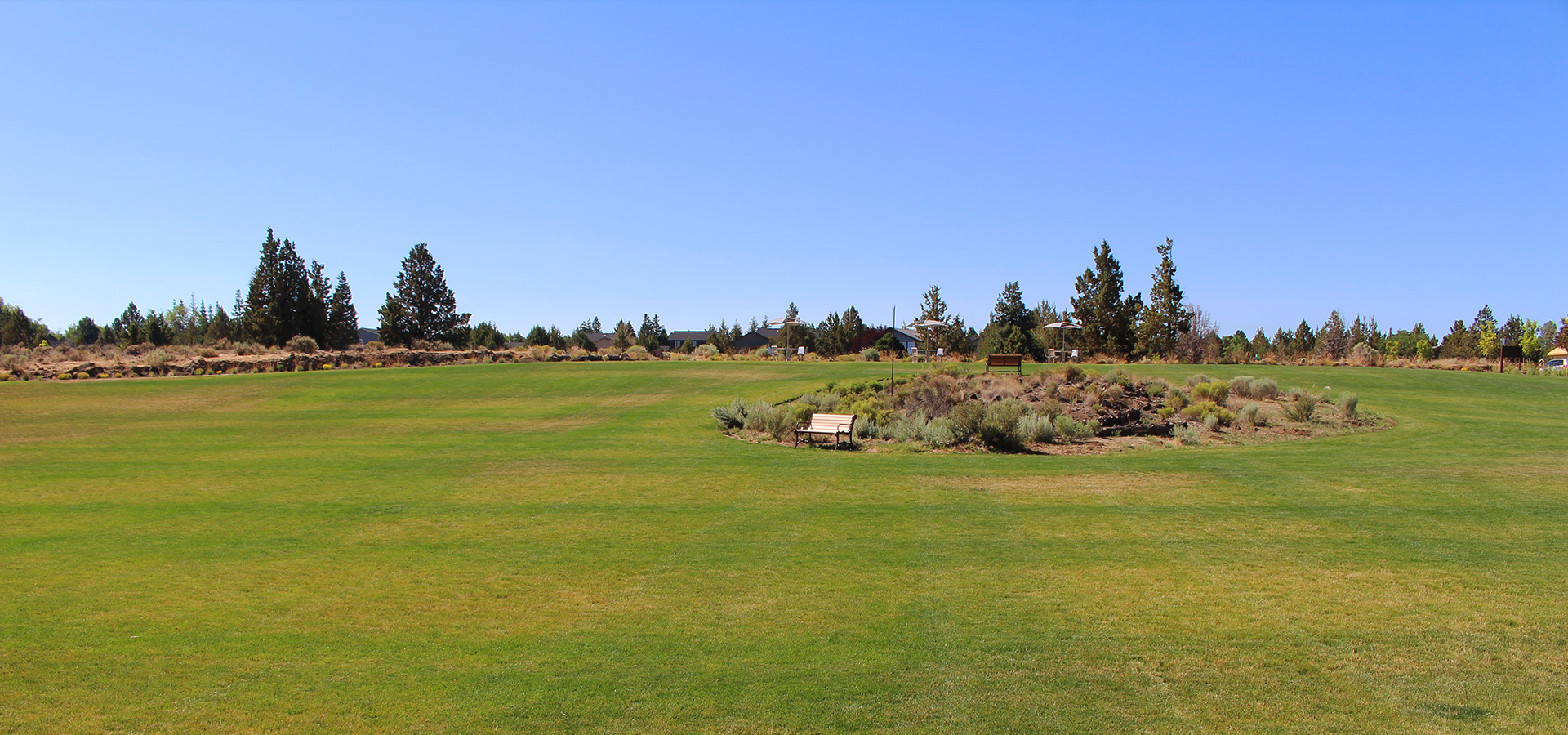 Greenspace area at Eagle Park.