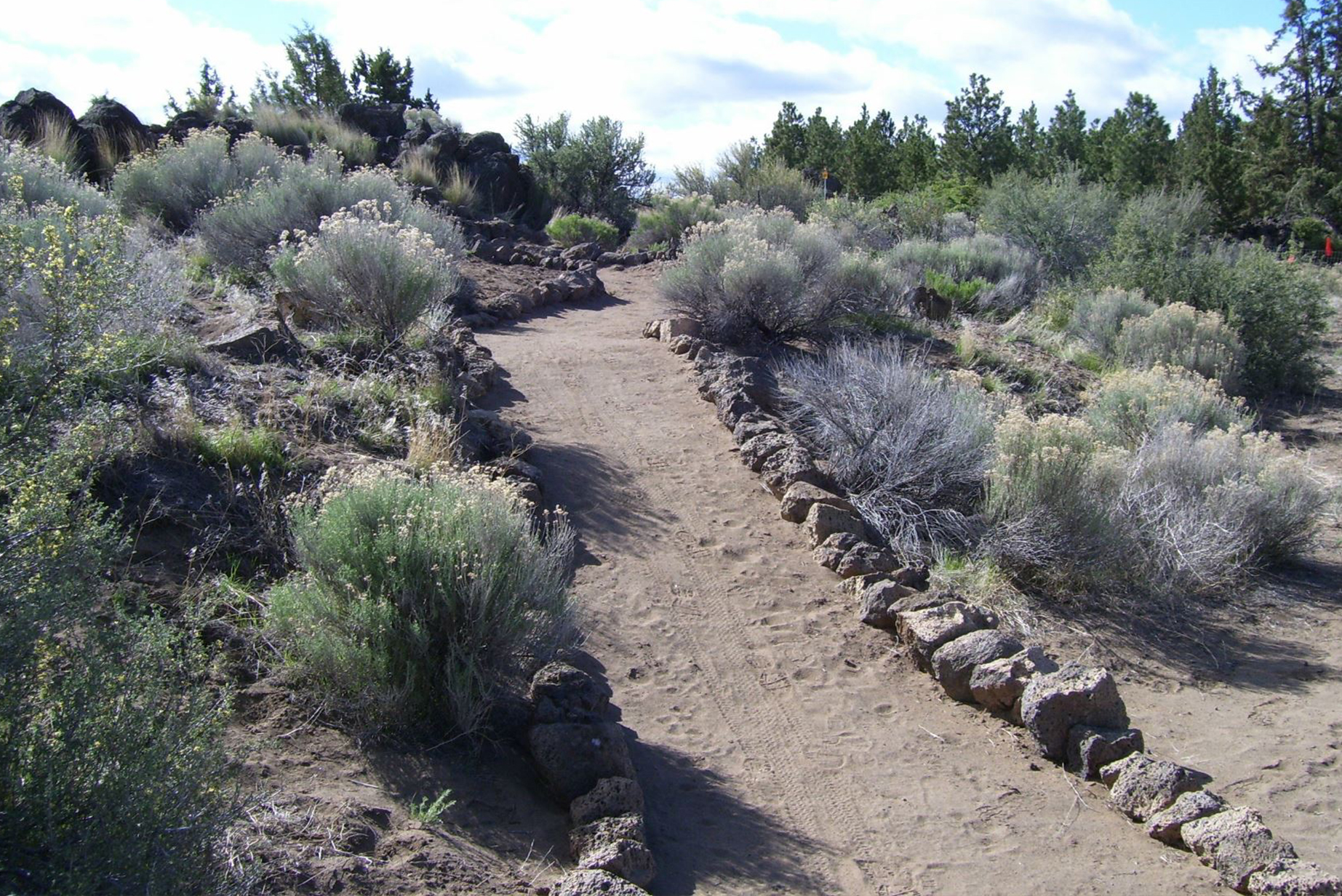 pine nursery park trail