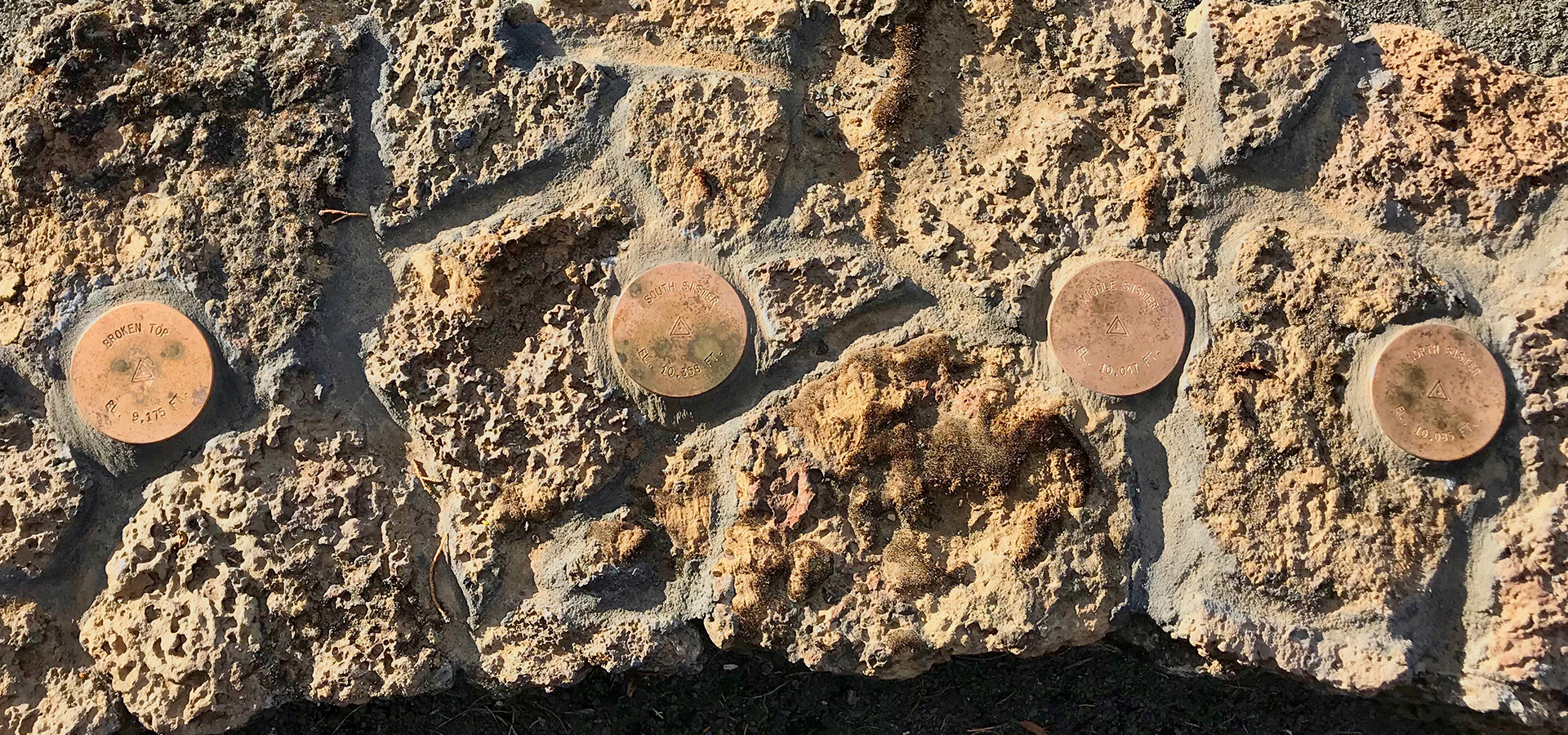 Mountain locator discs at Riley Ranch.