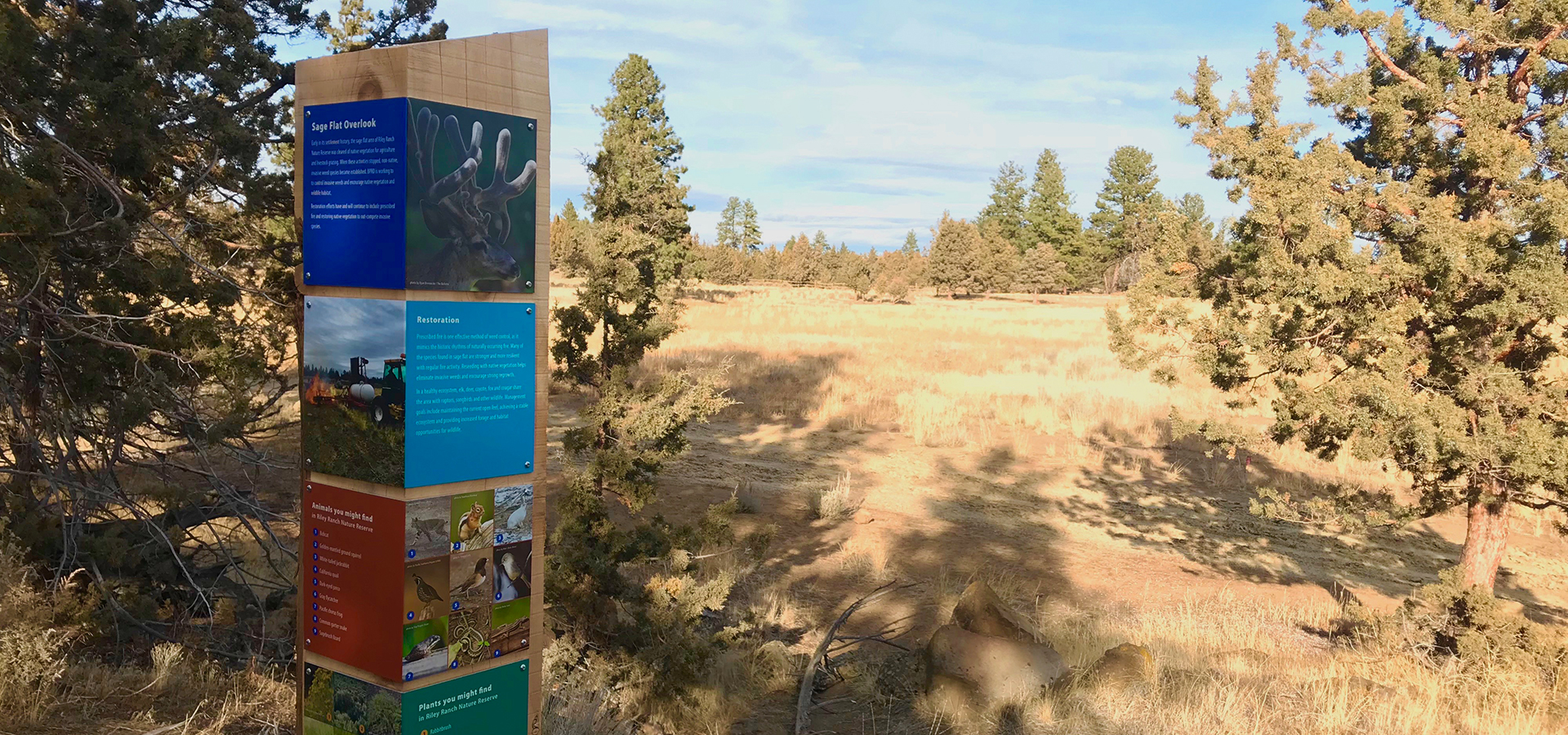 A sign and open space at Riley Ranch.