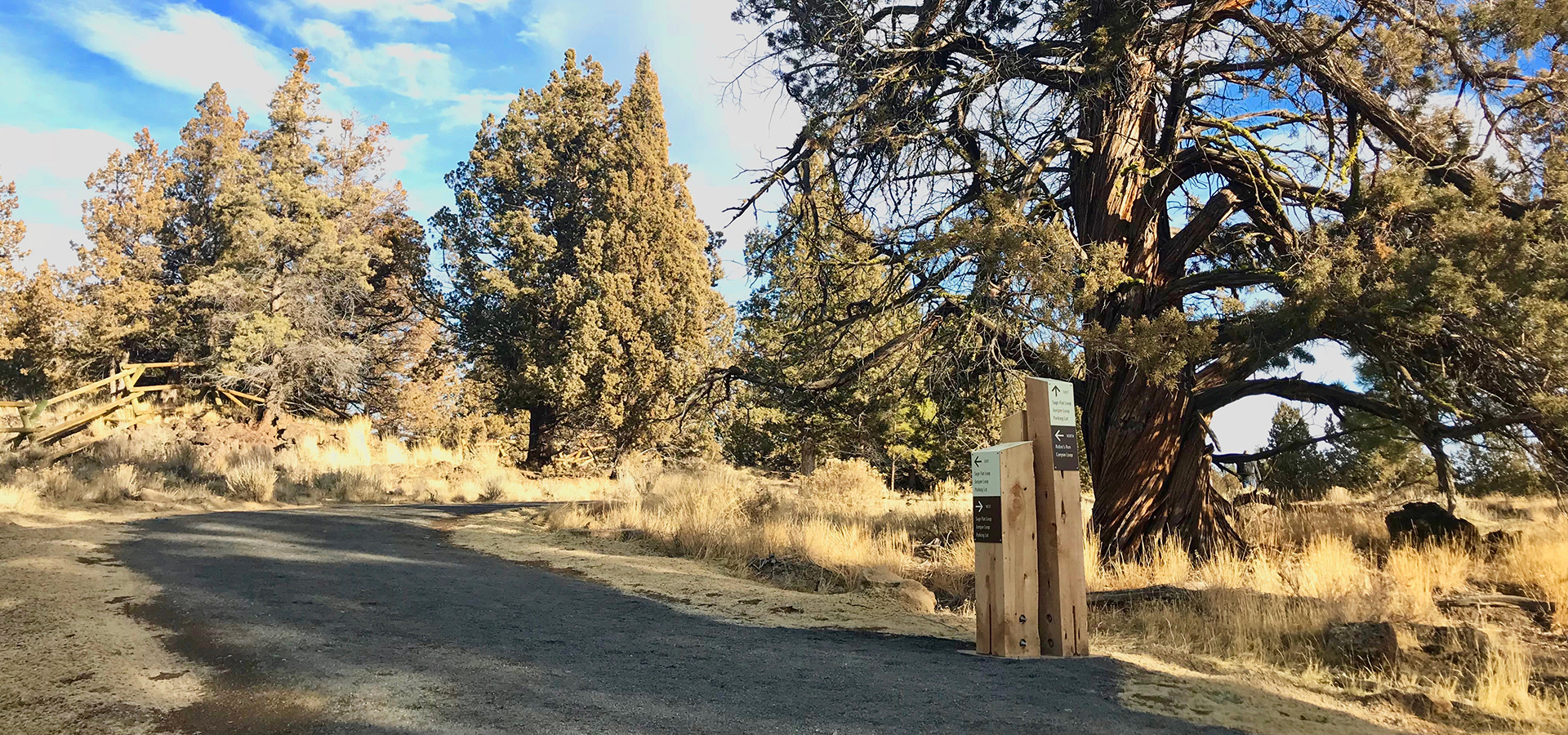 A trail at Riley Ranch Nature Preserve.