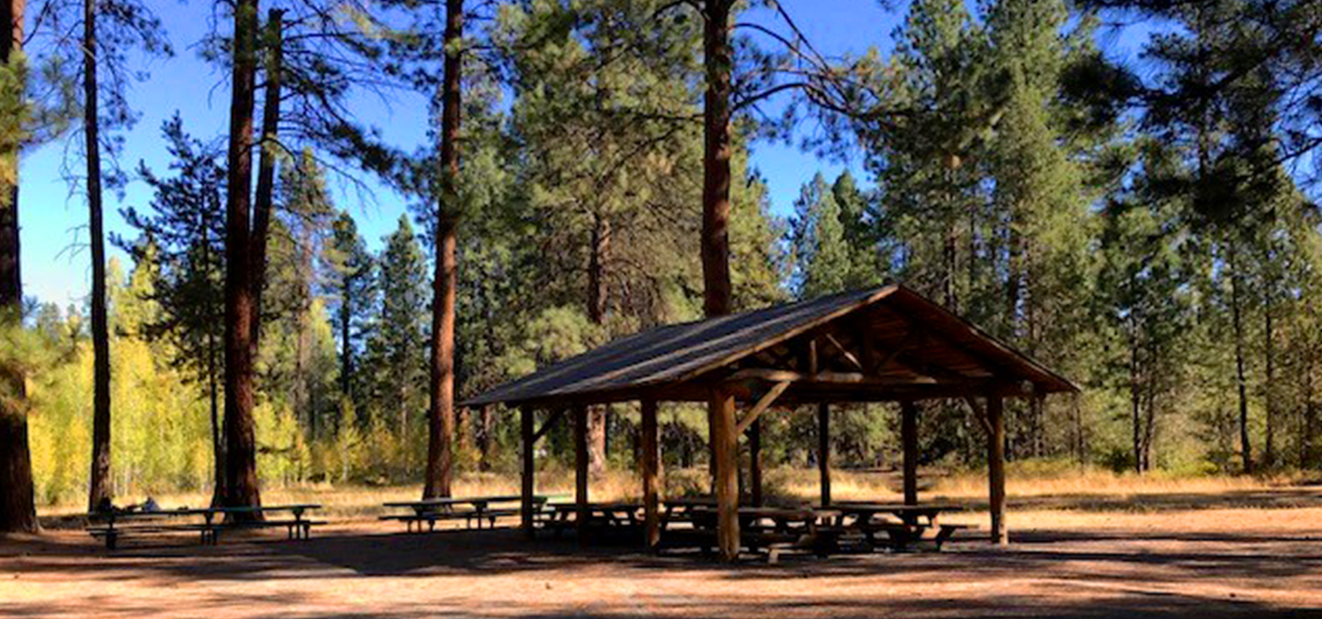 Aspen Hall Meadow Shelter