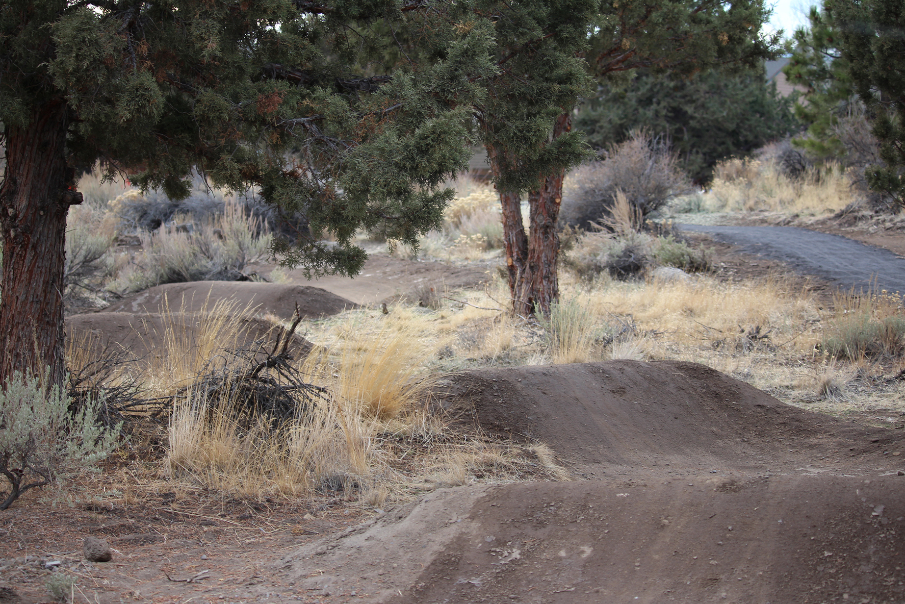 Stone creek park's pump track.