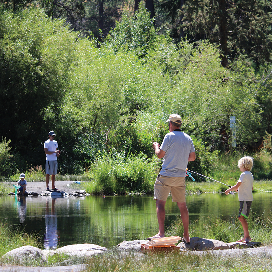 children fishing in the Shevlin Park pond under parent supervision.