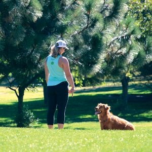 a resident and dog playing fetch in an off-leash dog park in Hollinshead Park.