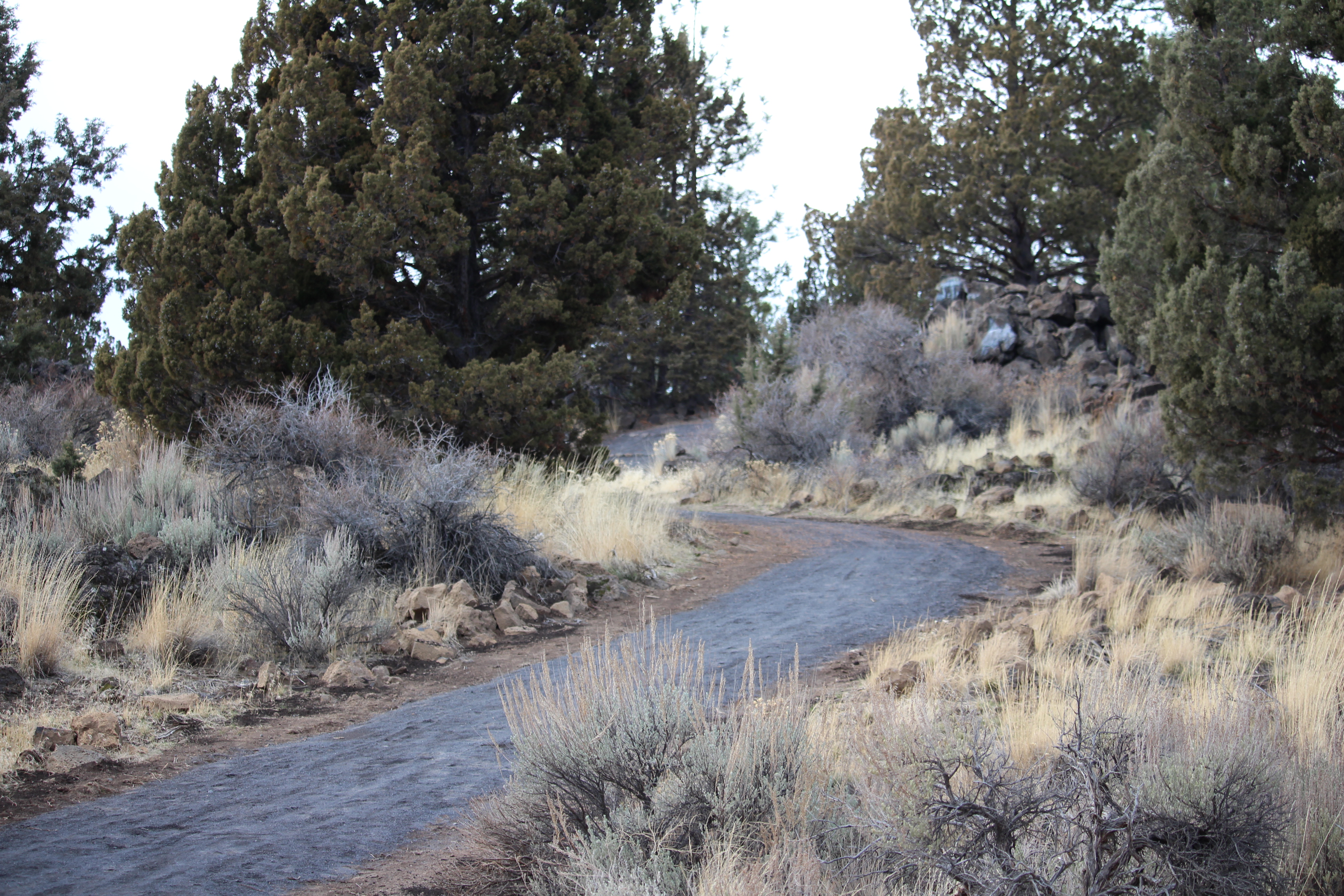 The aggregate trail through Stone Creek natural area