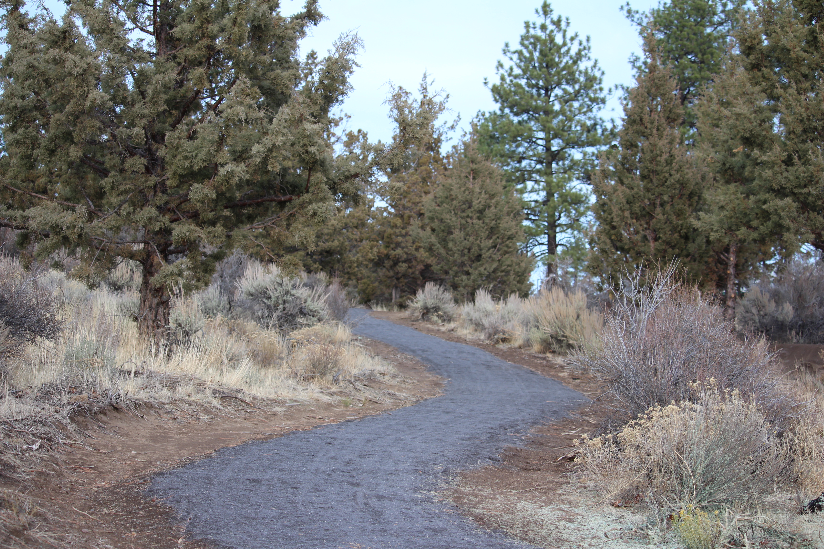 The aggregate trail through Stone Creek natural area
