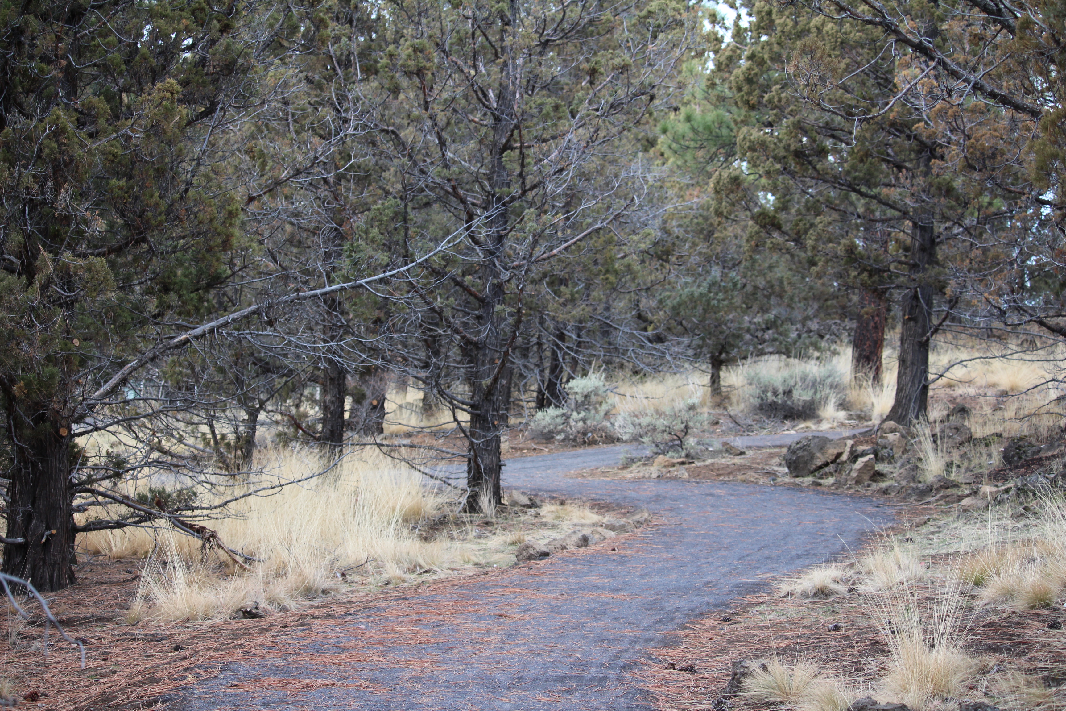 The aggregate trail through Stone Creek natural area