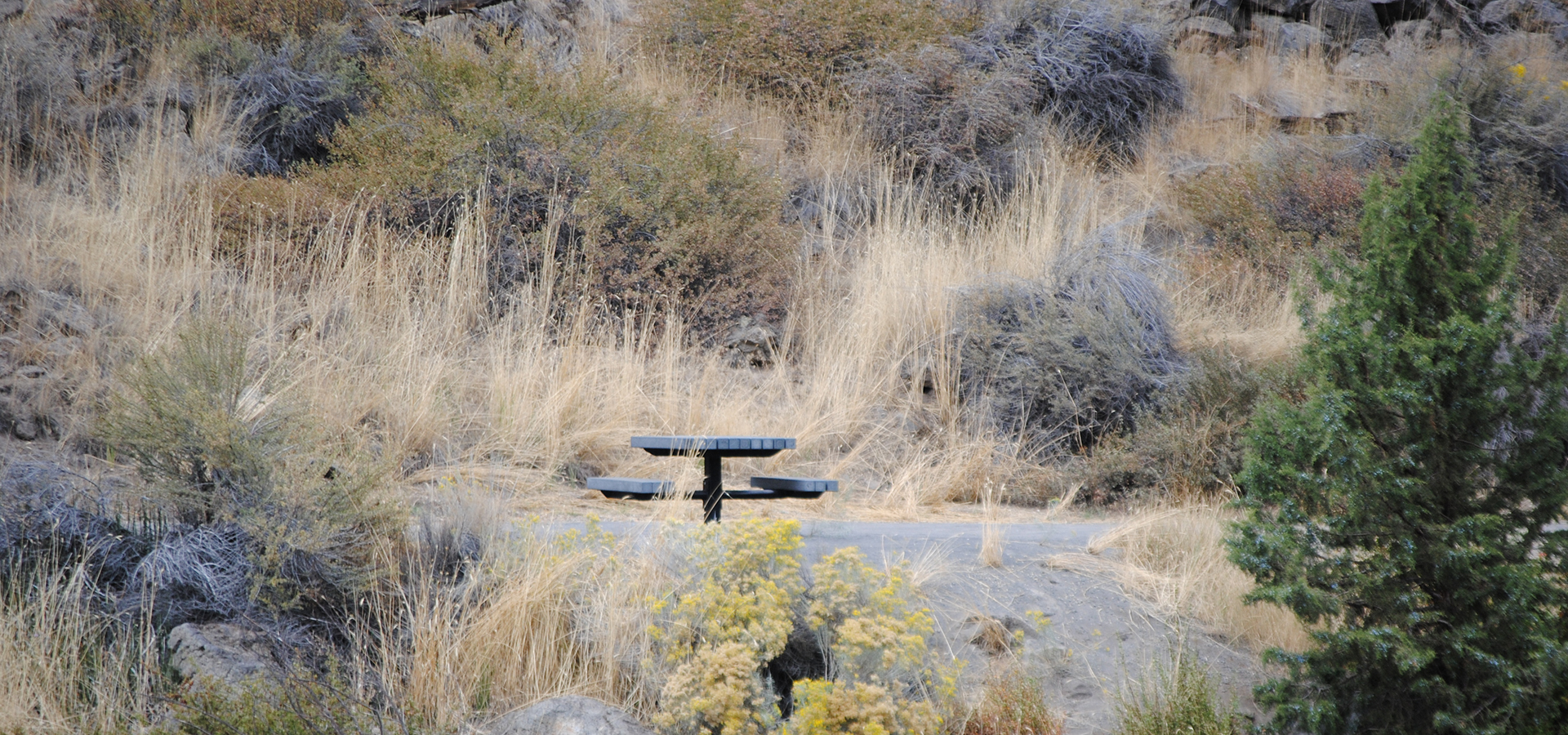 Picnic table on the Deschutes River Trail