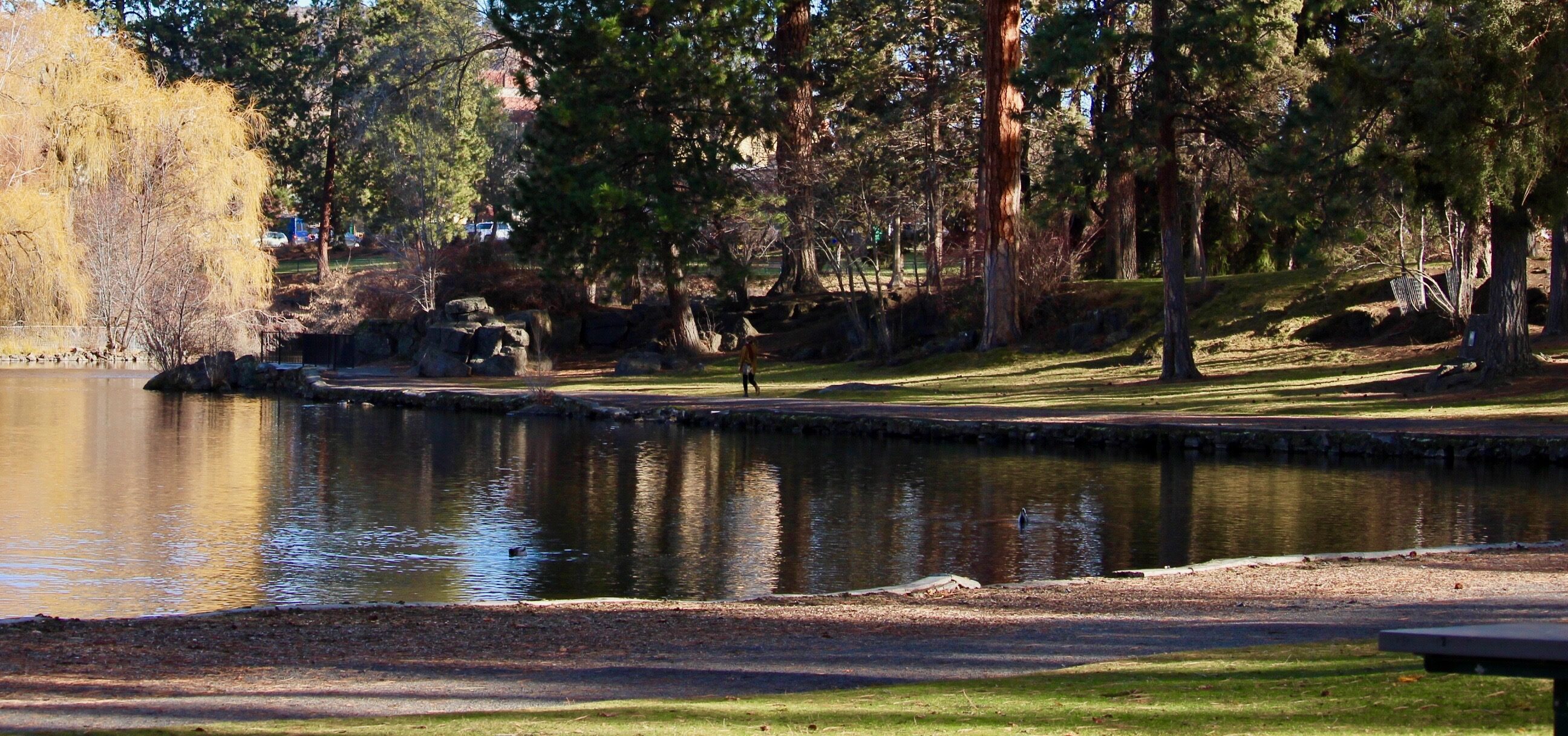 the deschutes river in drake park