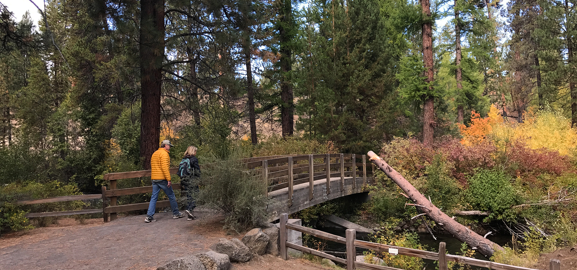 A foot bridge and soft-surface trail crossing Tummalo Creek in Shevlin Park.