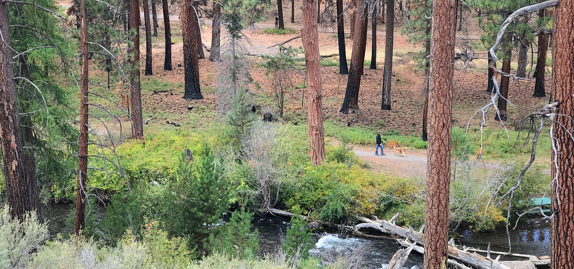 umalo Creek and a dirt trail in Shevlin Park.