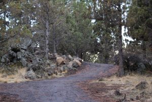 Image of a soft-surface trail running through Stone Creek Park.
