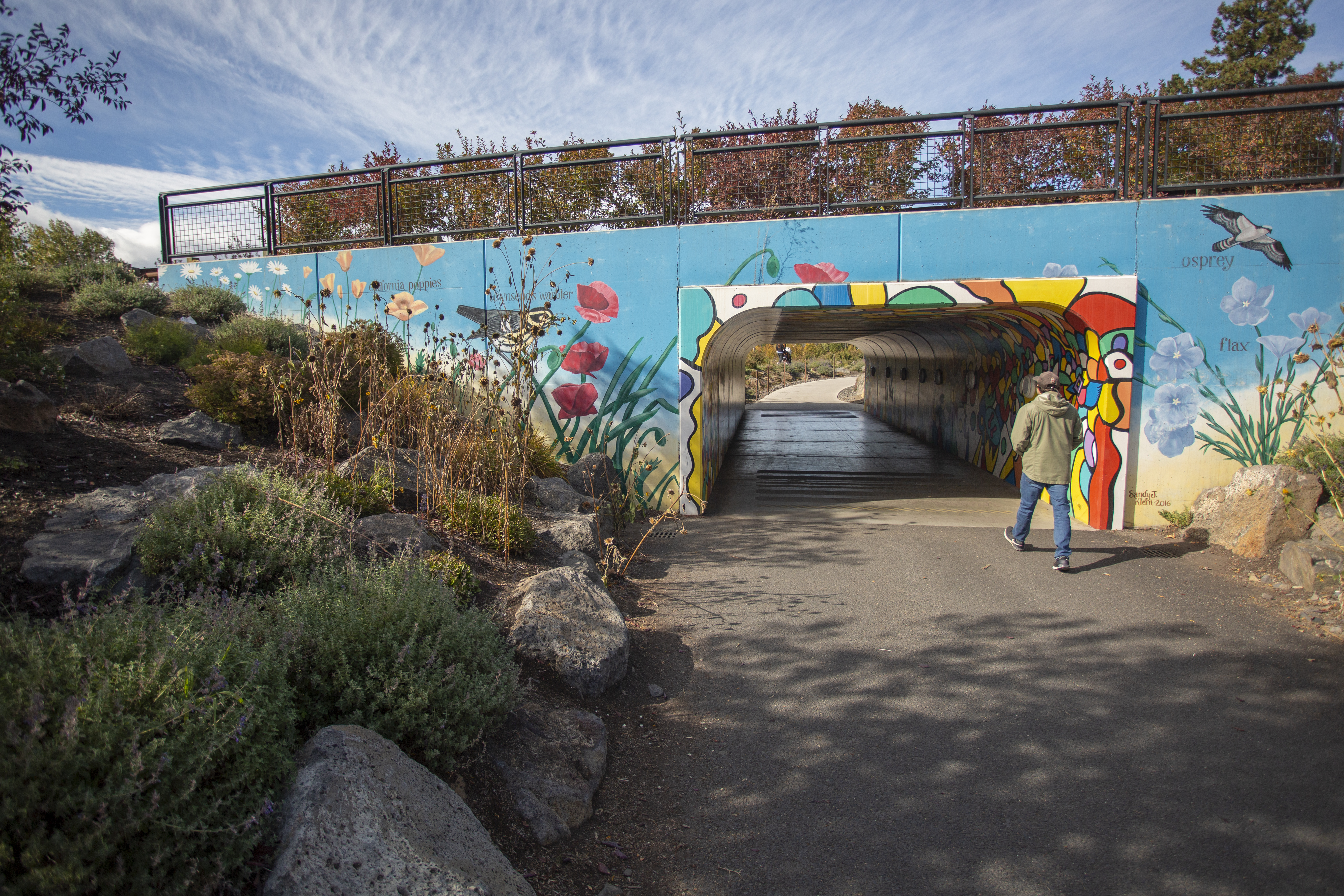 The Colorado Bridge trail underpass with mural art