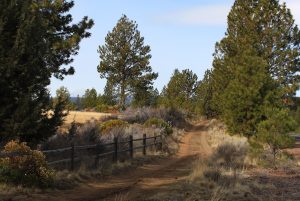 Image of the West Bend Trail in Bend, Oregon.