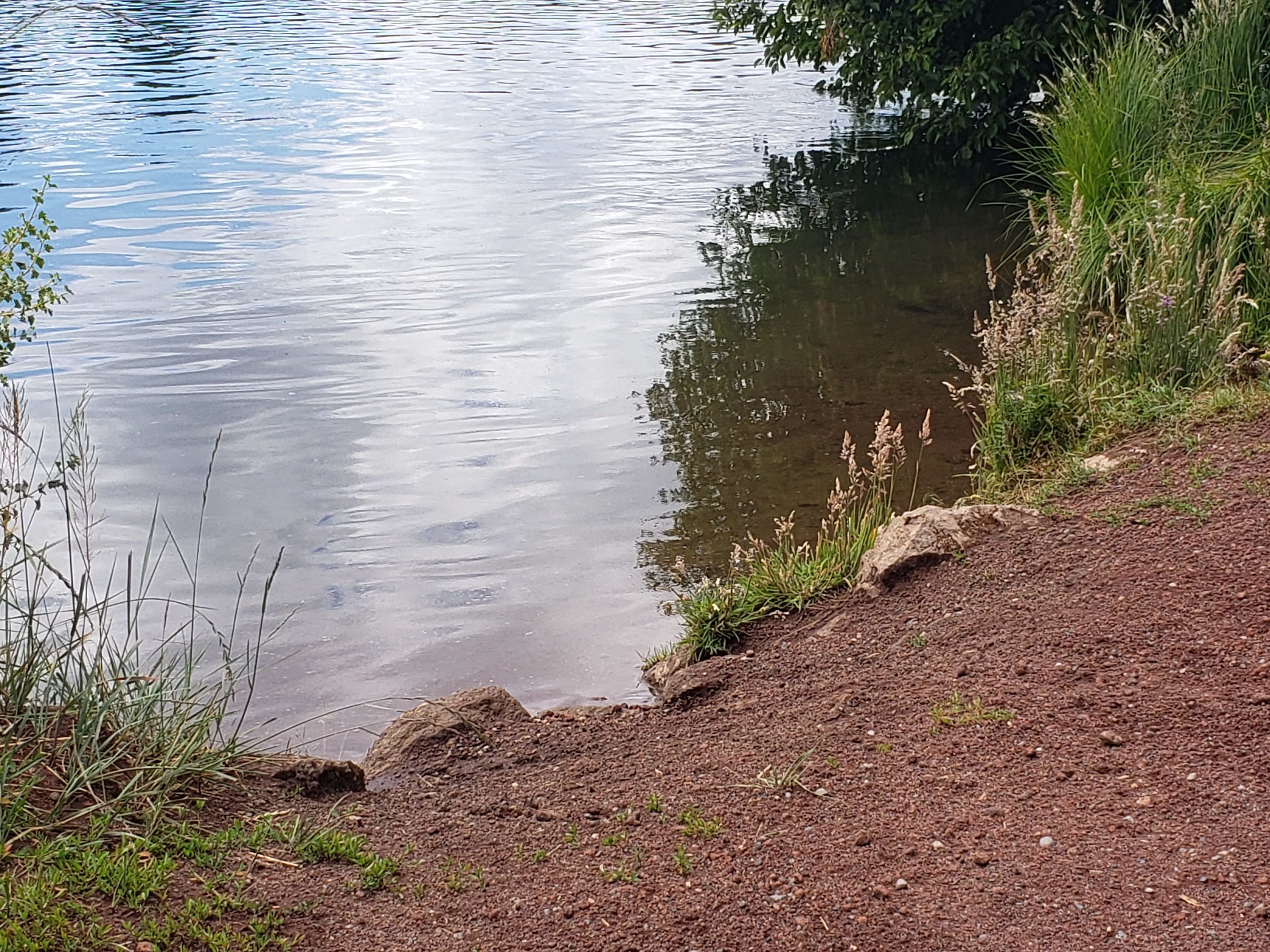 Image of the Deschutes River bank in Farewell Bend Park along the Deschutes River Trail.