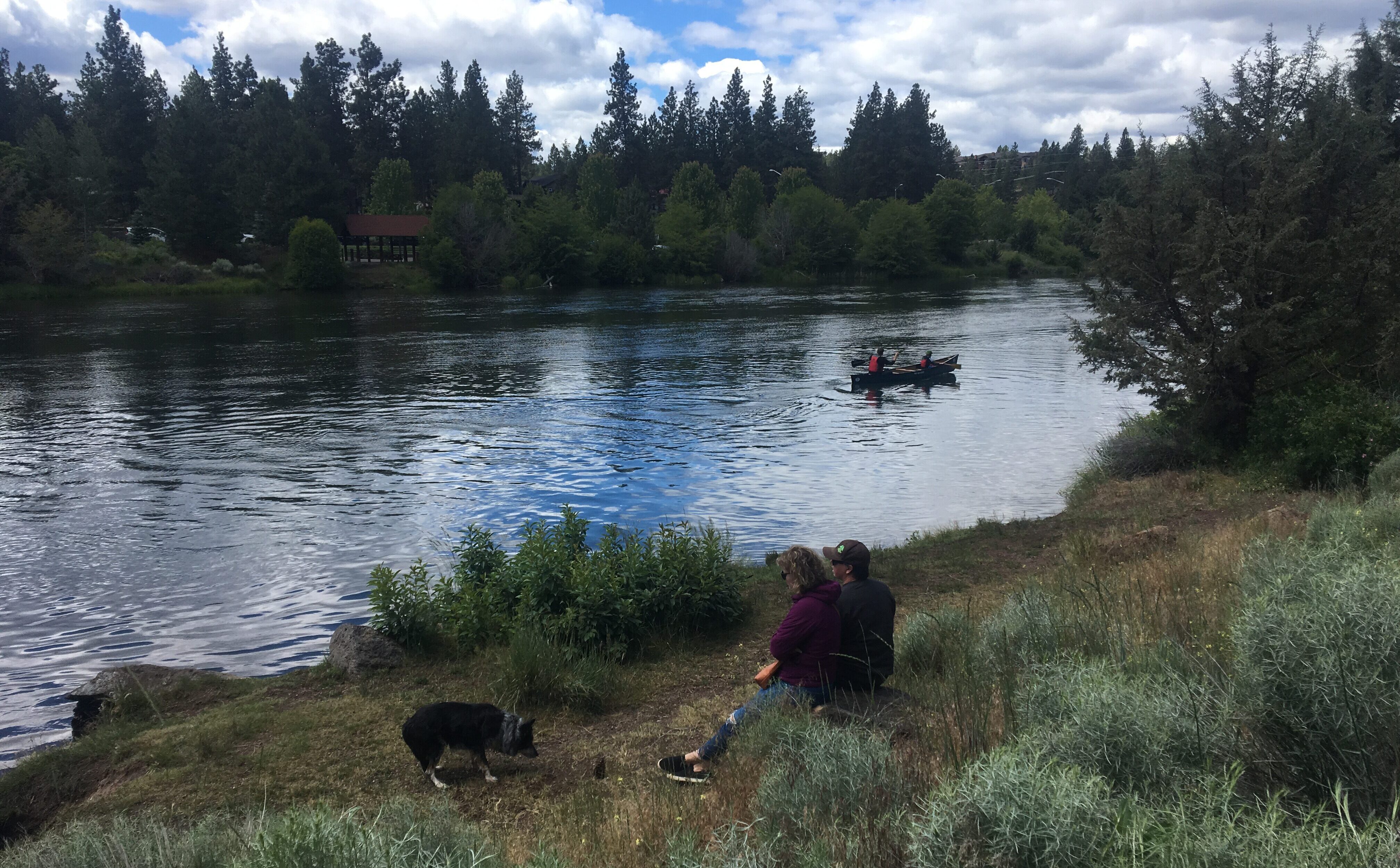 Image of the Deschutes River bank in Farewell Bend Park along the Deschutes River Trail.