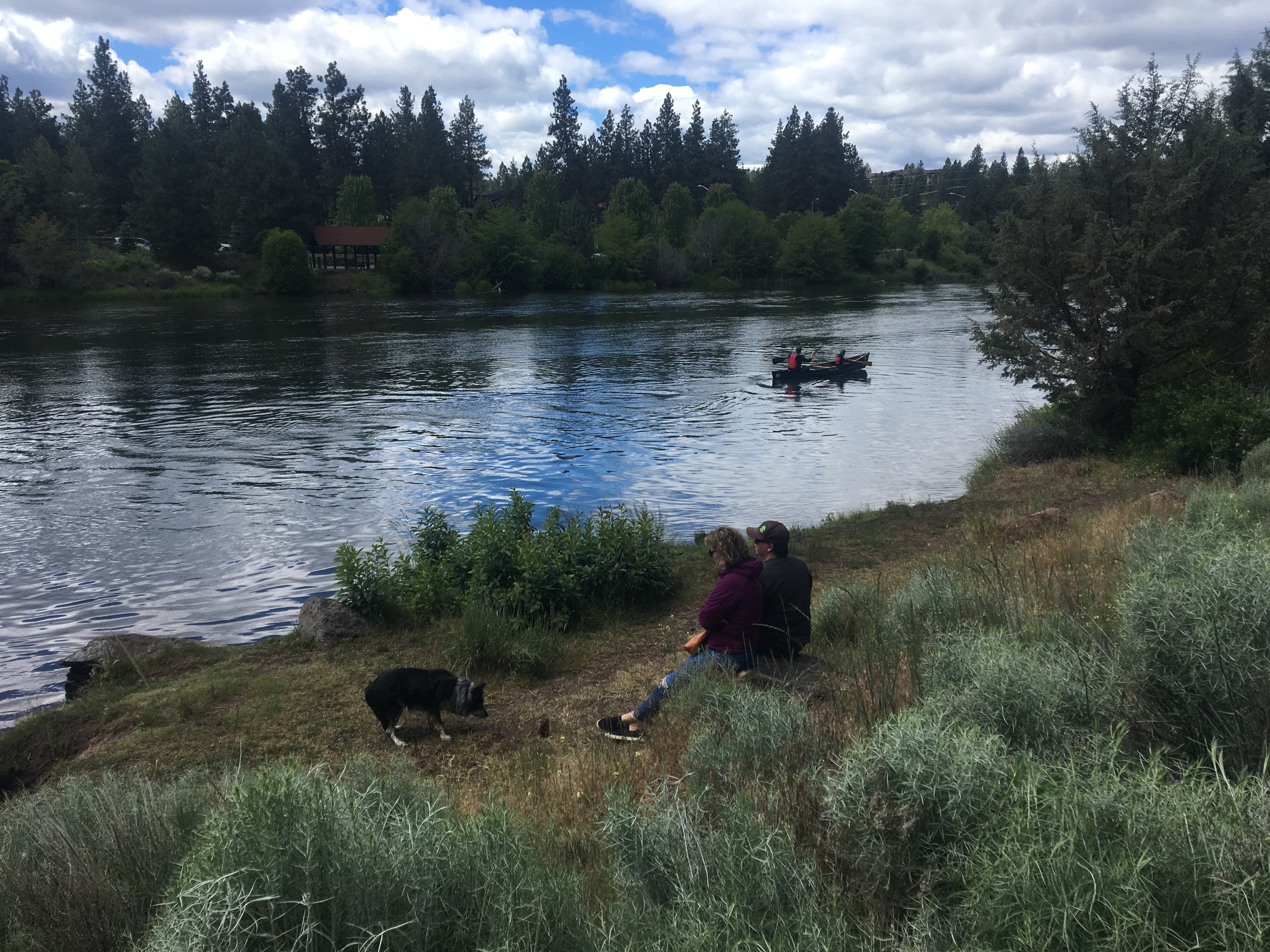 Image of the Deschutes River bank in Farewell Bend Park along the Deschutes River Trail.