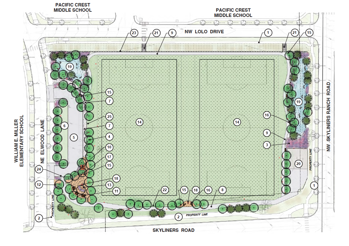 Concept drawing for Pacific Crest field project.