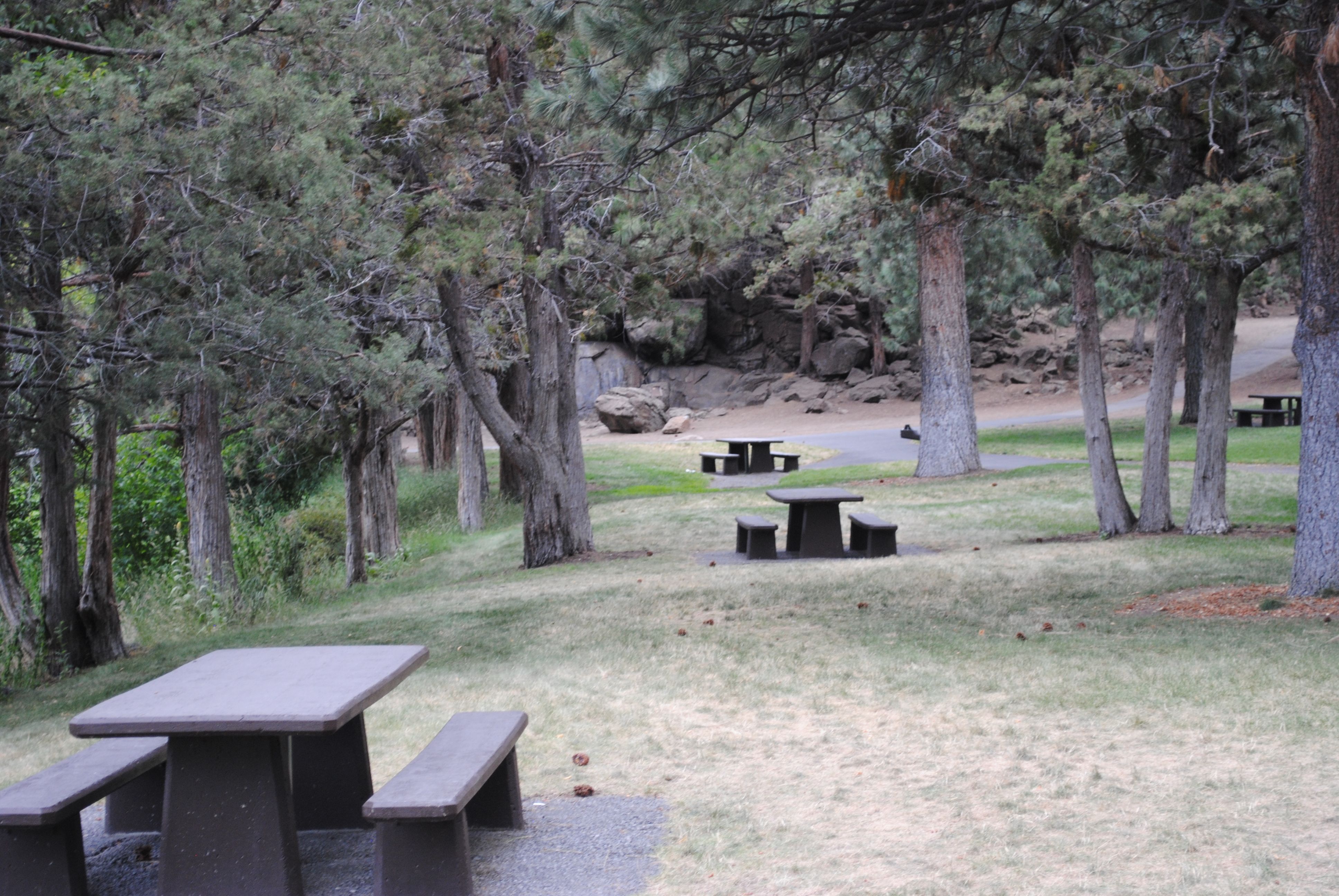Sawyer Park green space picnic