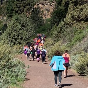 Image showing a Walk/Run-Through Event through Farewell Bend Park