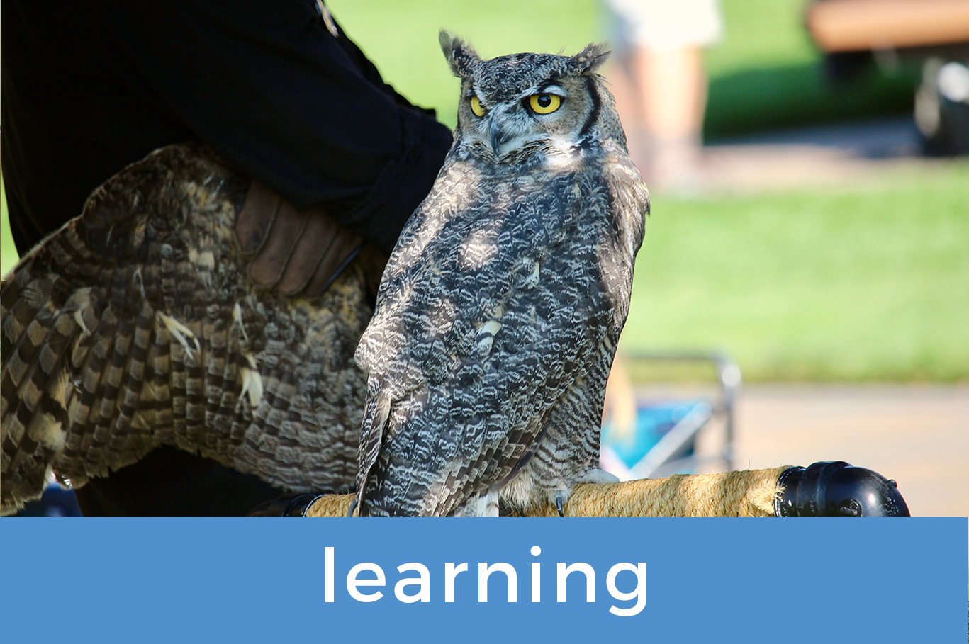 Learning Resources Button