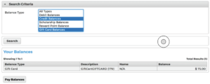 Screenshot demonstrating the credit balances page.