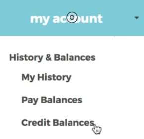 Image demonstrating the credit balances button in the registration site menu.