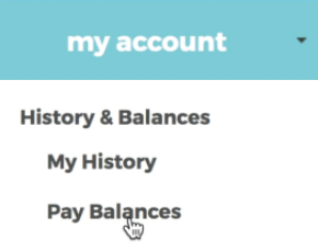 Image demonstrating the pay balances button in the registration site menu.