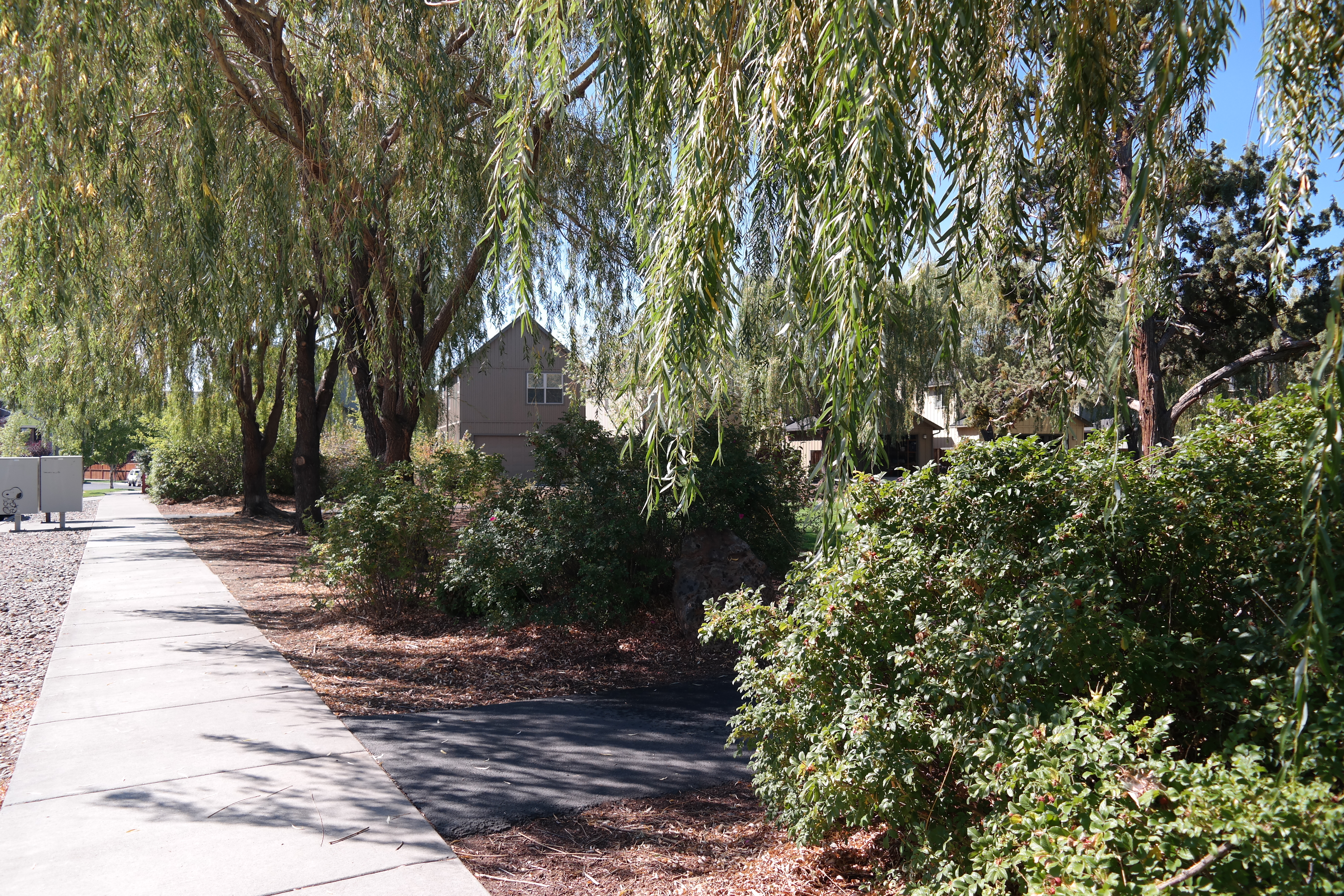 a sidewalk and bushes at Empire Crossing Park