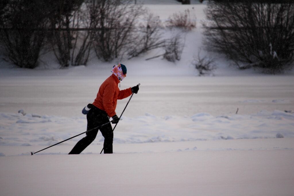 Sawyer Park Asset Replacement Project Bend Park and Recreation District