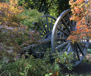 The "Big Wheel" in Drake Park - 2019