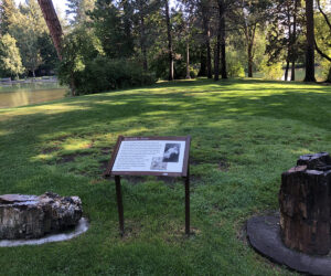 Dawn Redwood stumps and sign in Drake Park