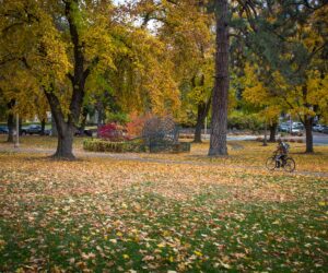 Drake Park with fall leaves