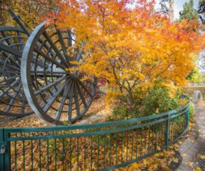 The Big Wheel with fall leaves in Drake Park