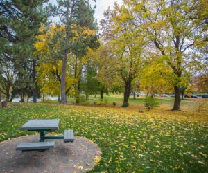 Picnic table in Drake Park