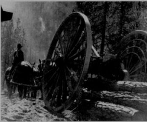 Logging with the Big Wheel in Drake Park