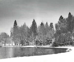 Drake Park in the snow - 1960's